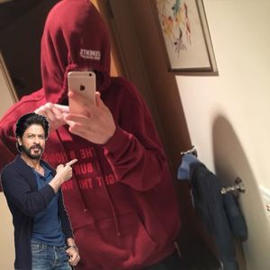 Meet your Posher, Bailey